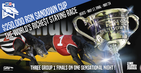 Sandown Cup